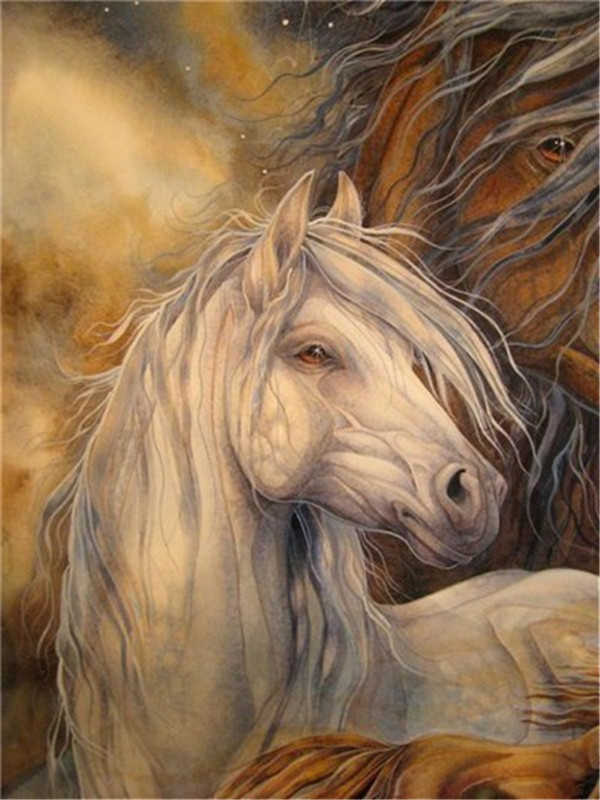 Caballo Marrón y Caballo Blanco en Amor Pintar por Números