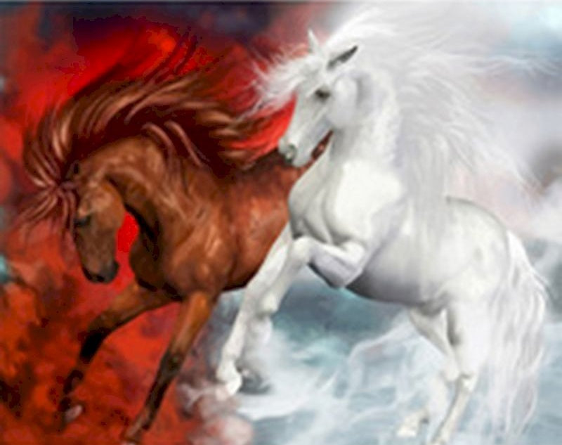 Caballo Marrón y Caballo Blanco Pintar por Números