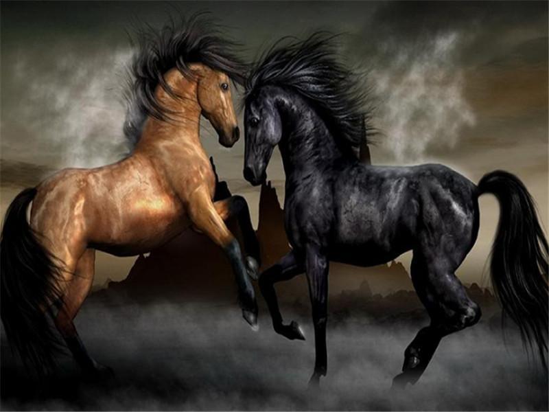 Caballo Marrón y Caballo Negro Peleando Pintar por Números