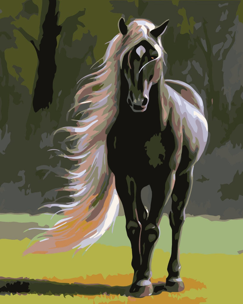Caballo Negro con Melena Blanca al Sol Pintar por Números