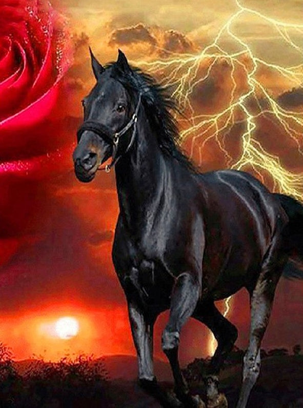 Caballo Negro con Rosa Roja y Relámpagos en el Cielo Pintar por Números
