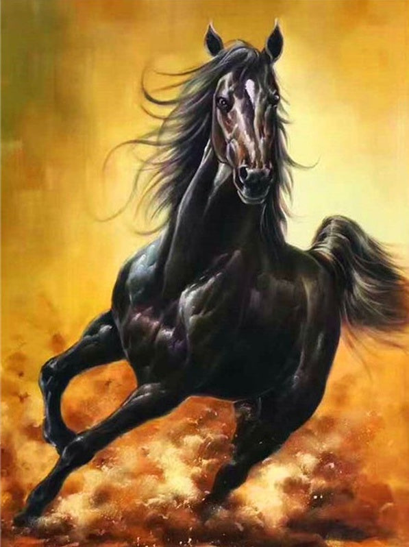 Caballo Negro Corriendo en Camino Polvoriento Pintar por Números
