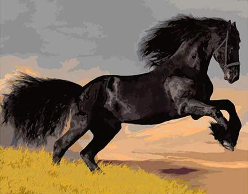 Caballo Negro Corriendo en Césped Amarillo Pintar por Números