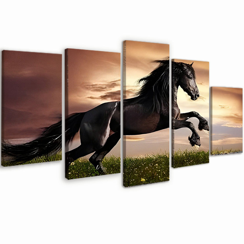 Caballo Negro Corriendo sobre Césped Verde 5 Partes Pintar por Números