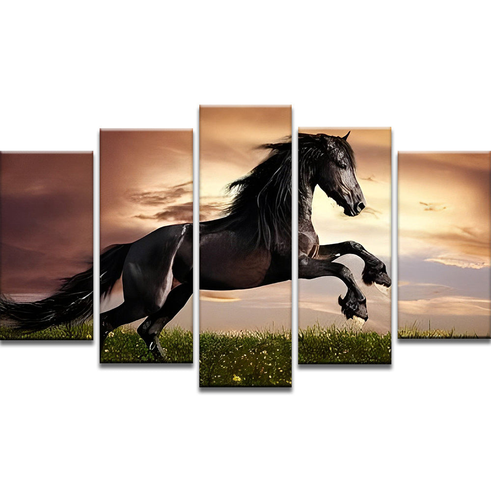 Caballo Negro Corriendo sobre Césped Verde 5 Partes Pintar por Números