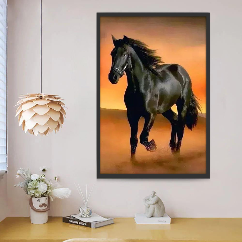 Caballo Negro en Camino Polvoriento Pintar por Números
