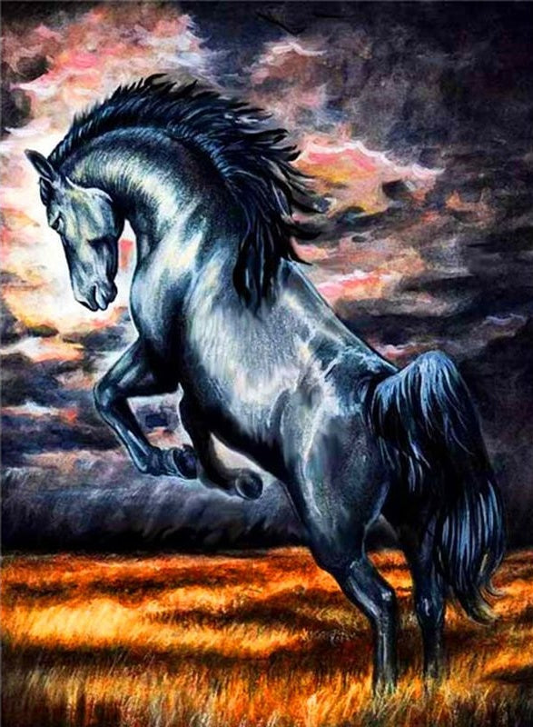 Caballo Negro en Hierba Anaranjada Pintar por Números