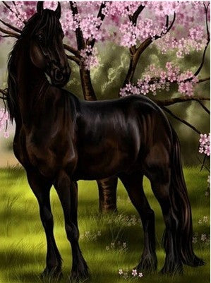 Caballo Negro y Árbol de Flores Rosadas Pintar por Números