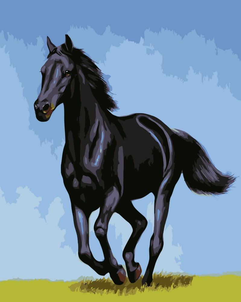 Caballo Negro y Hierba Verde y Cielo Azul Pintar por Números