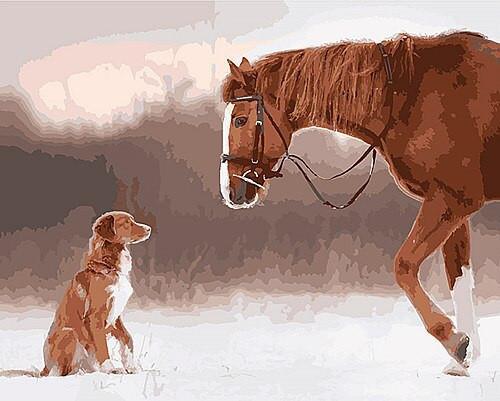 Caballo y Perro de Color Mismo Pintar por Números