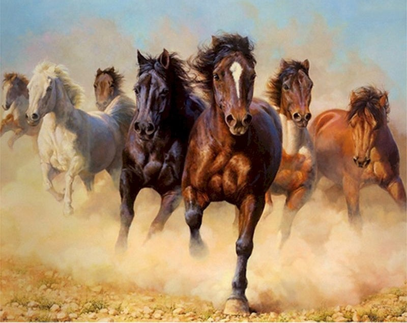 Caballos Corriendo en Camino Polvoriento Pintar por Números