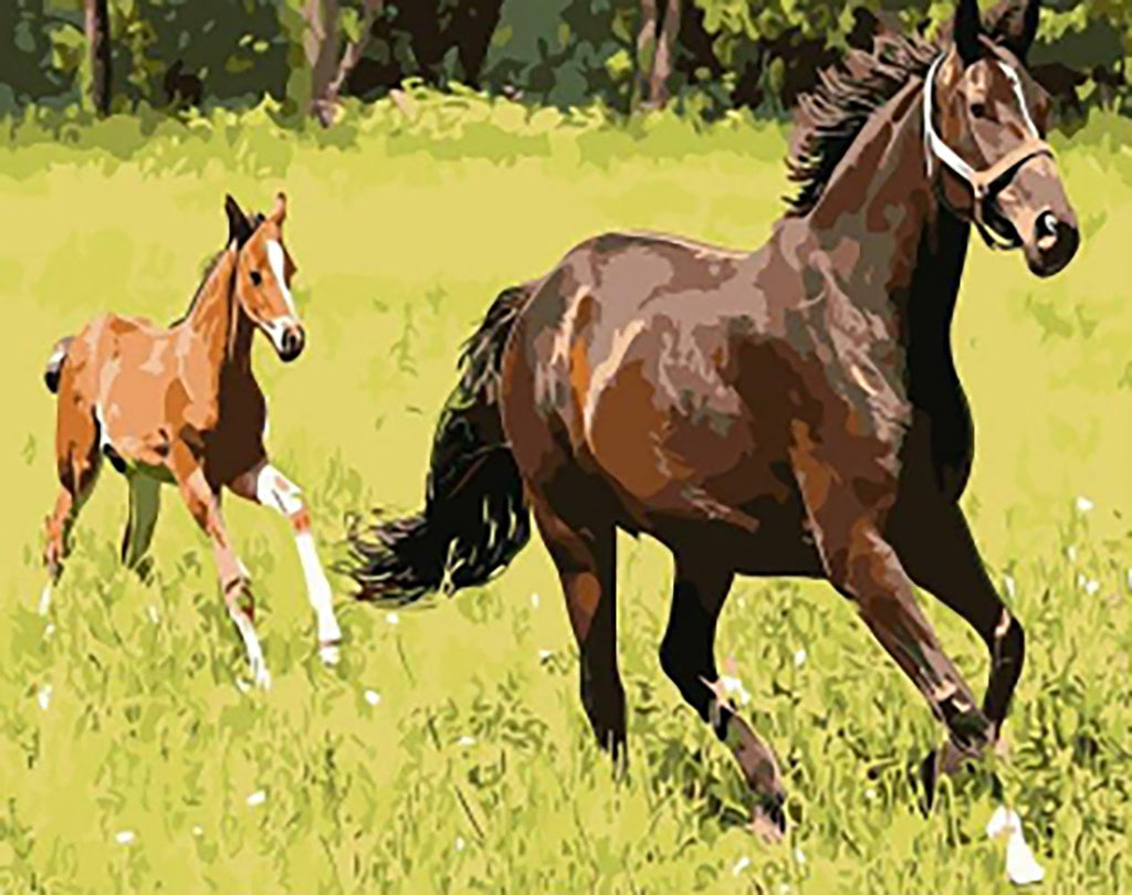 Caballos Corriendo en Césped Verde Pintar por Números