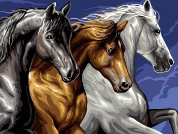 Caballos de Color Blanco y Negro y Dorado Pintar por Números