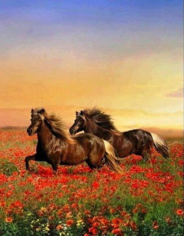 Caballos Marrones Corriendo en las Flores Rojas Pintar por Números