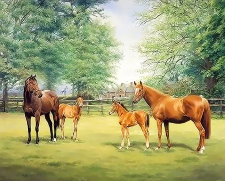 Caballos sobre Césped con Árboles Pintar por Números