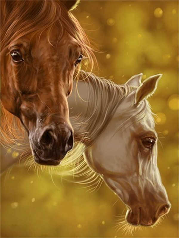 Cabeza de Caballo Marrón y Blanco Pintar por Números