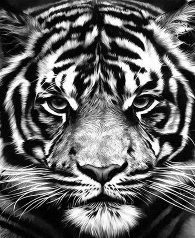 Cabeza de Tigre en Blanco y Negro Pintar por Números