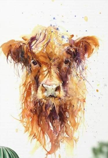 Cabeza de Vaca en el Fondo Blanco Pintar por Números