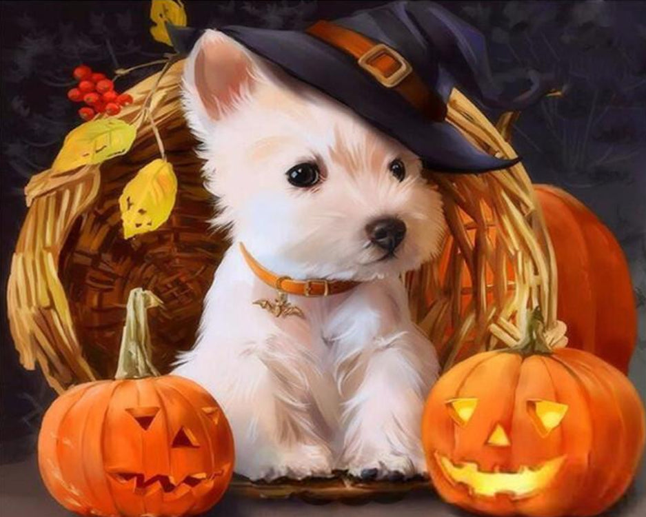 Calabazas de Halloween y Perrito Blanco con Sombrero de Bruja Pintar por Números