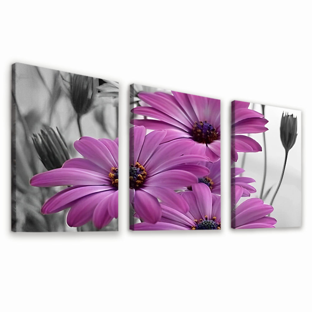 Camomilas Moradas con Fondo en Blanco y Negro 3 Partes Pintar por Números
