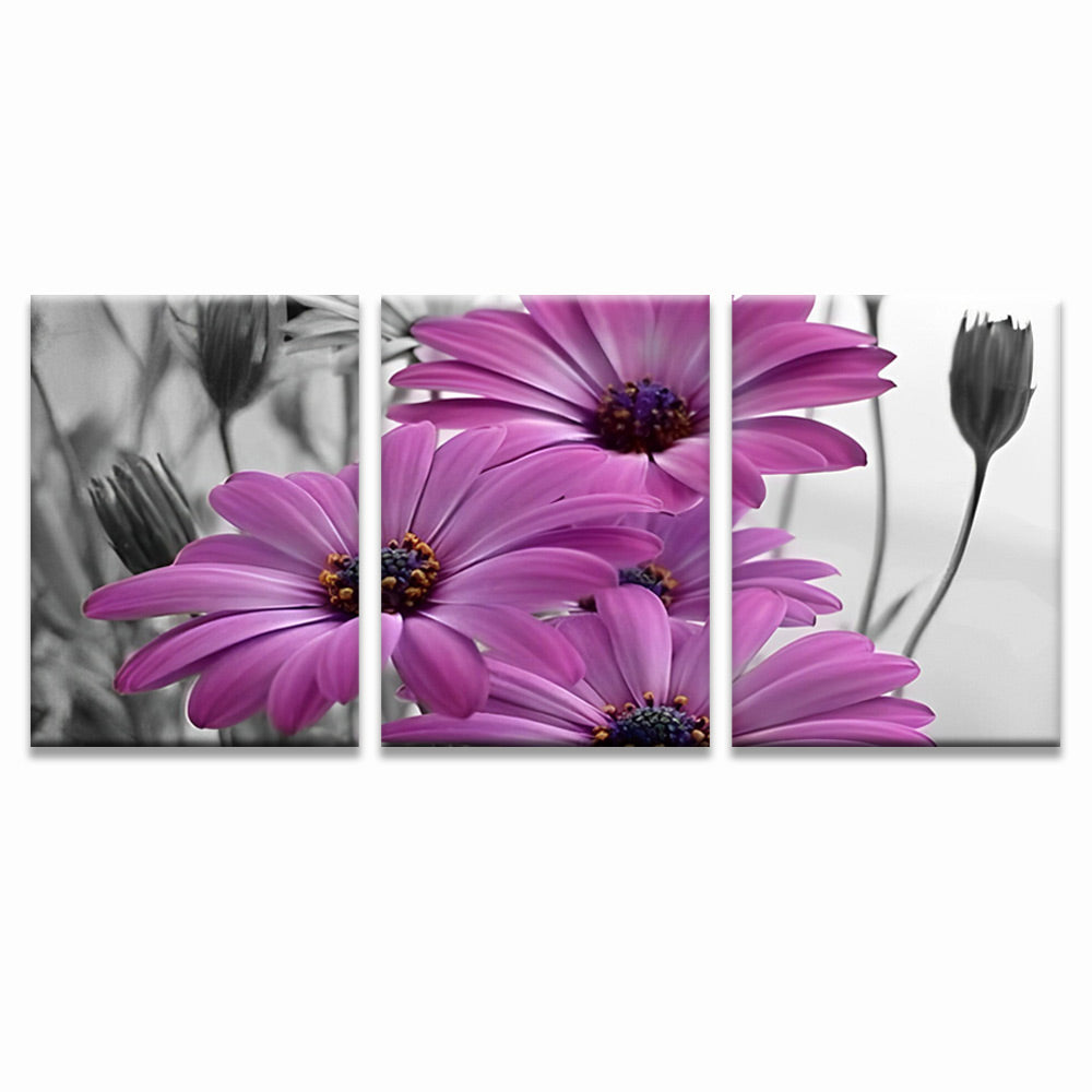 Camomilas Moradas con Fondo en Blanco y Negro 3 Partes Pintar por Números