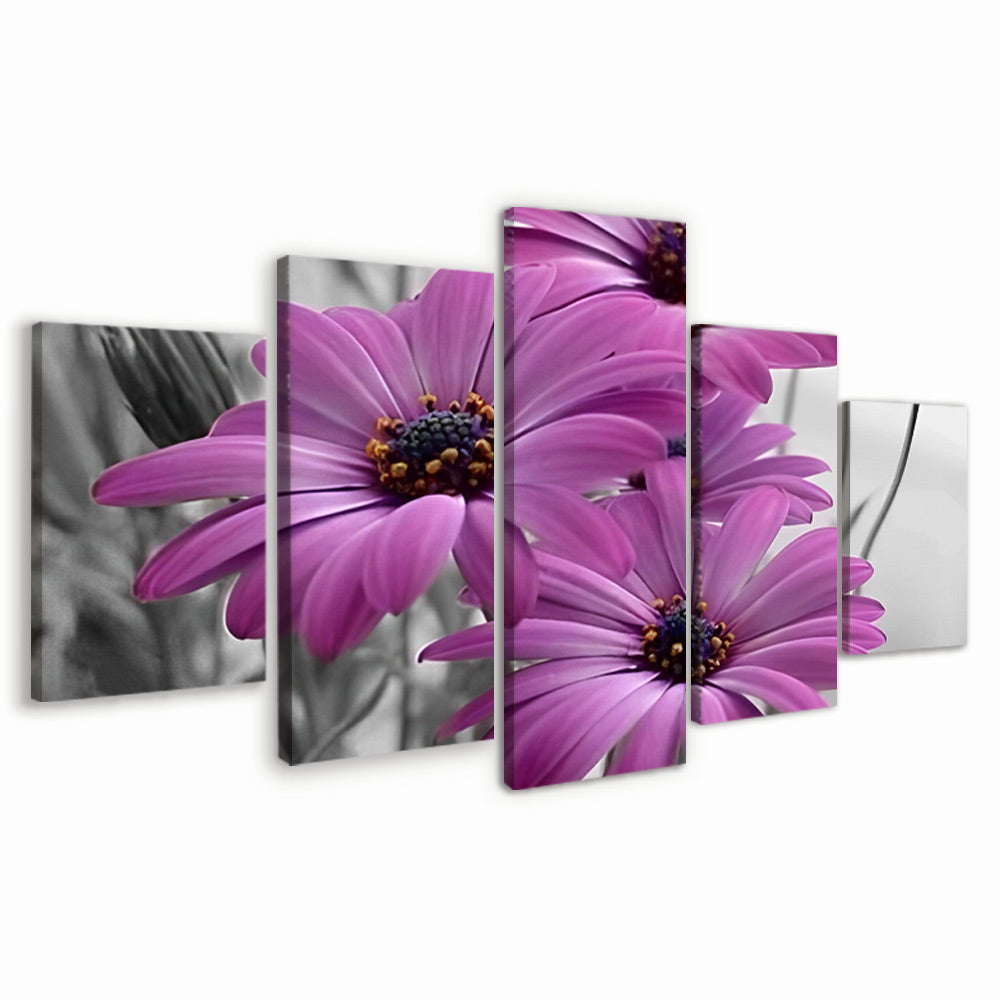 Camomilas Moradas Hermosas en Fondo Gris 5 Partes Pintar por Números