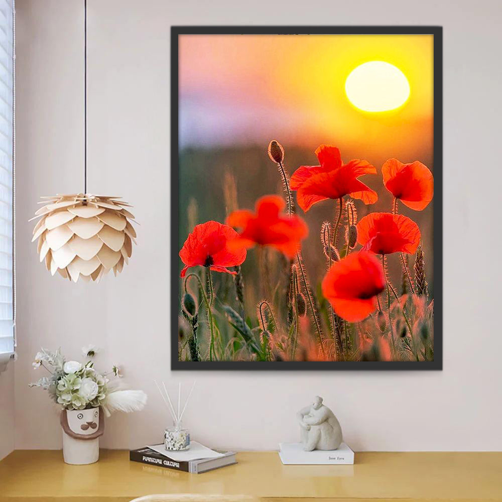 Campo de Amapolas de Color Rojo al Atardecer Pintar por Números