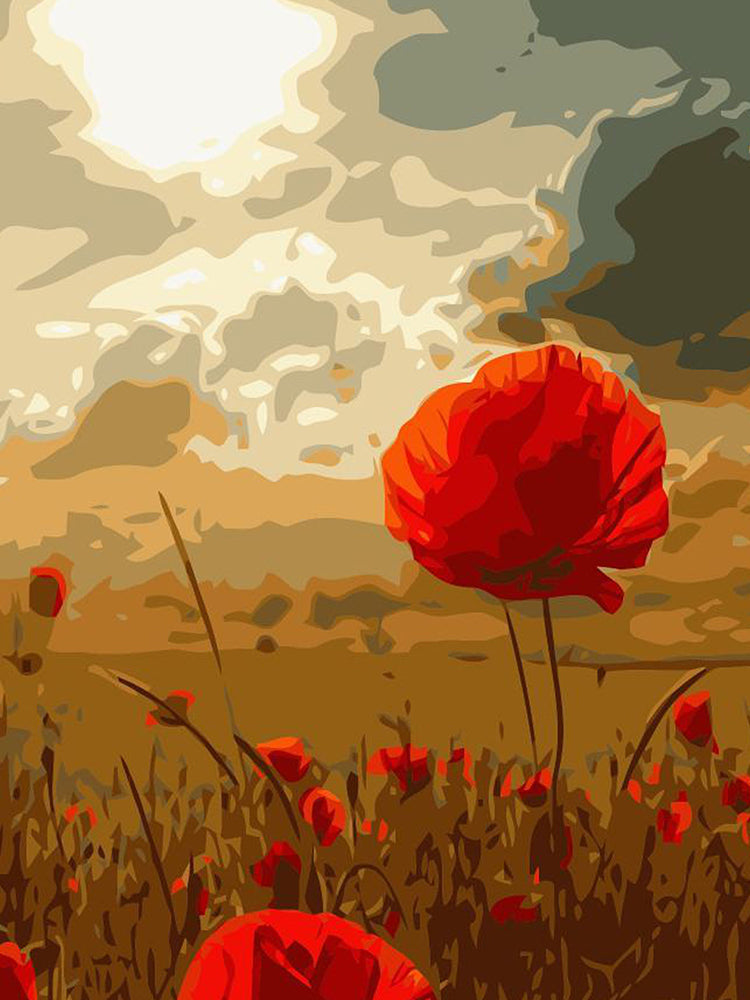 Campo de Amapolas Rojas Pintar por Números