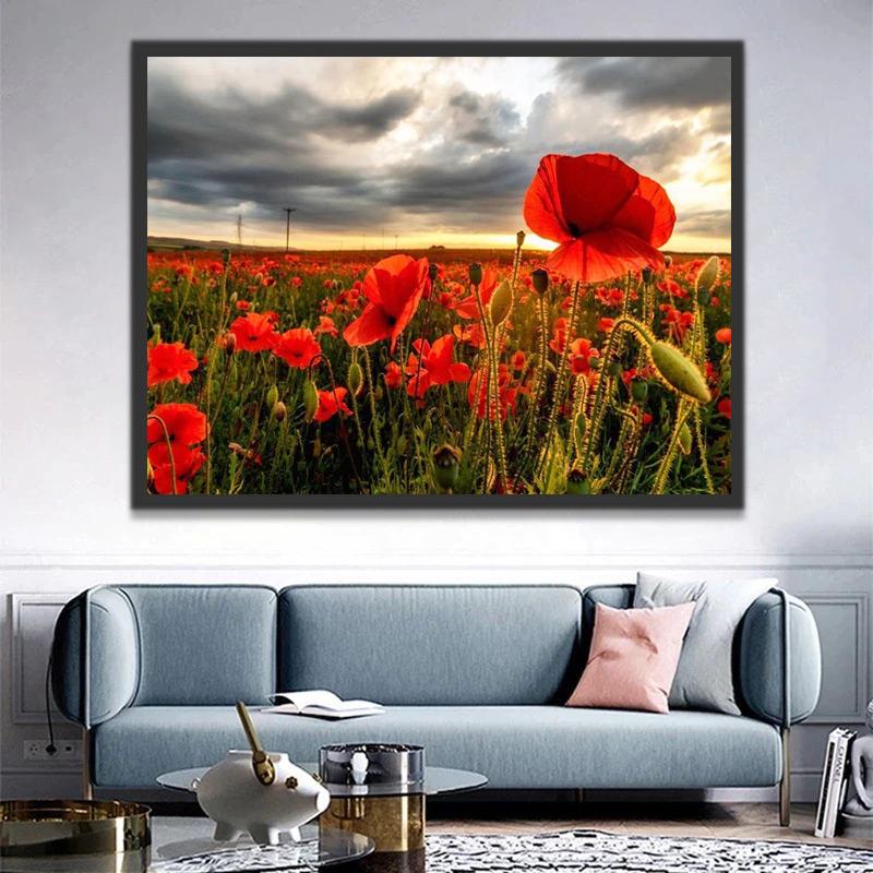 Campo de Amapolas Silvestres y Cielo Nublado Pintar por Números