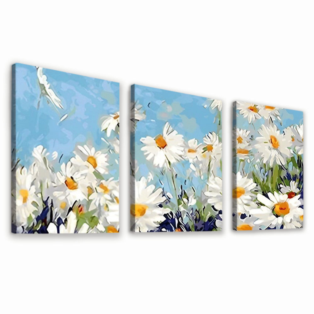 Campo de Camomilas con Cielo Azul 3 Partes Pintar por Números