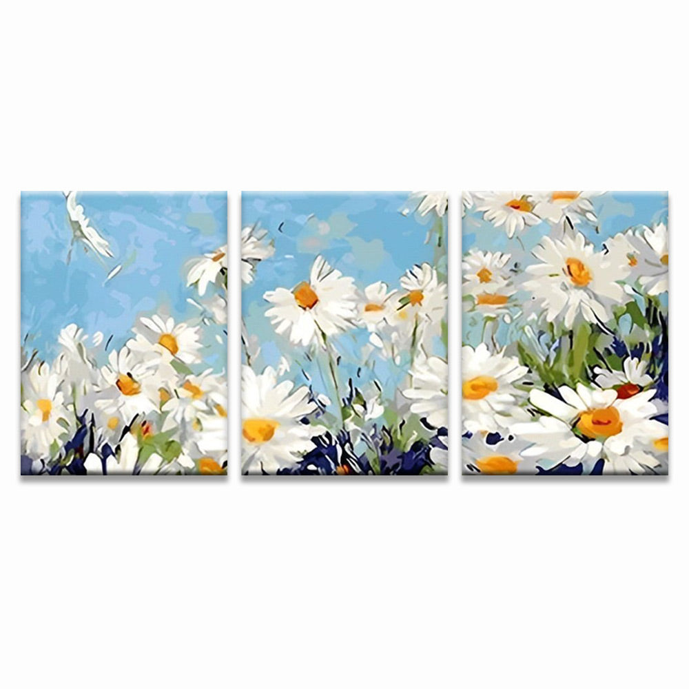 Campo de Camomilas con Cielo Azul 3 Partes Pintar por Números