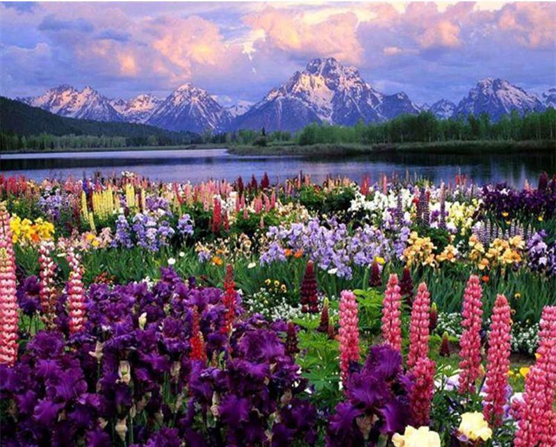 Campo de Flores Coloridas en Montañas Pintar por Números