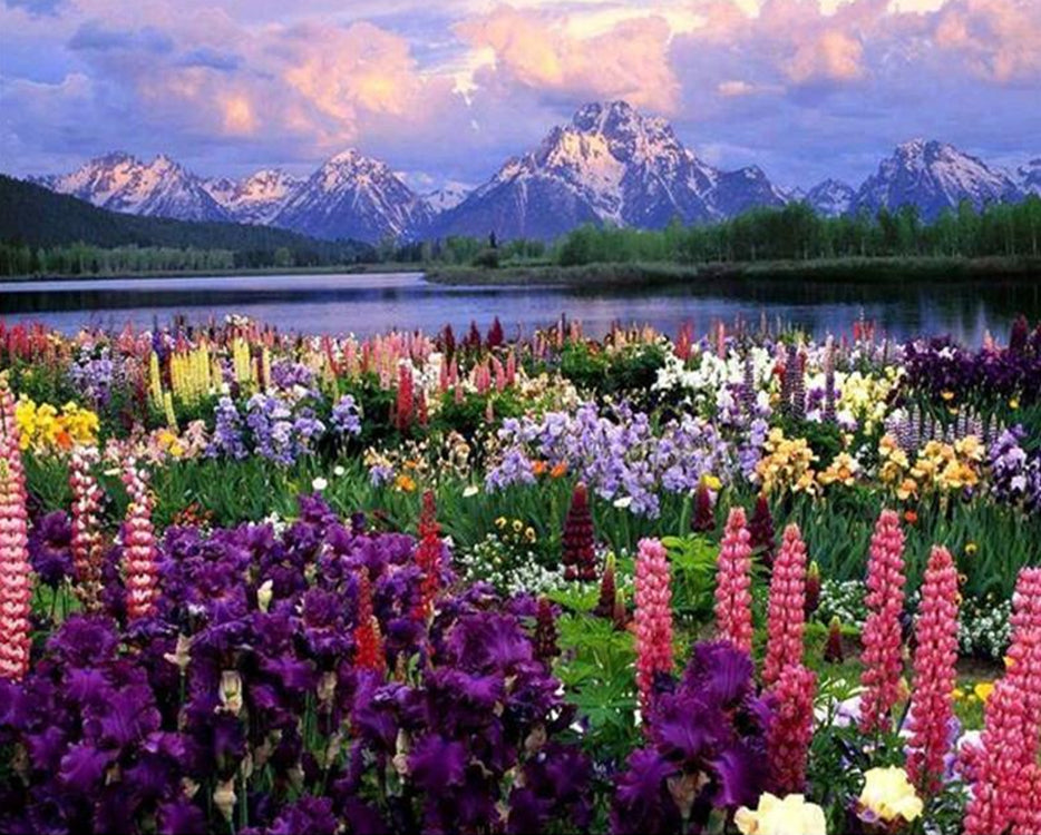 Campo de Flores con Fondo de Montañas y Río Pintar por Números