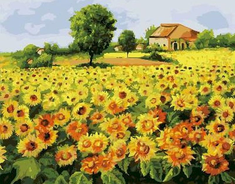 Campo de Girasol con Árbol y Casa a lo Lejos Pintar por Números