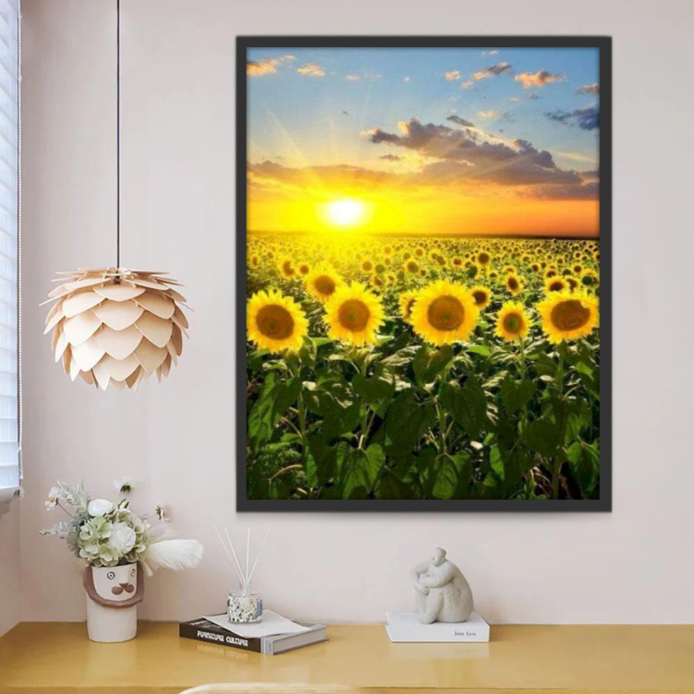 Campo de Girasoles Durante la Puesta del Sol Pintar por Números