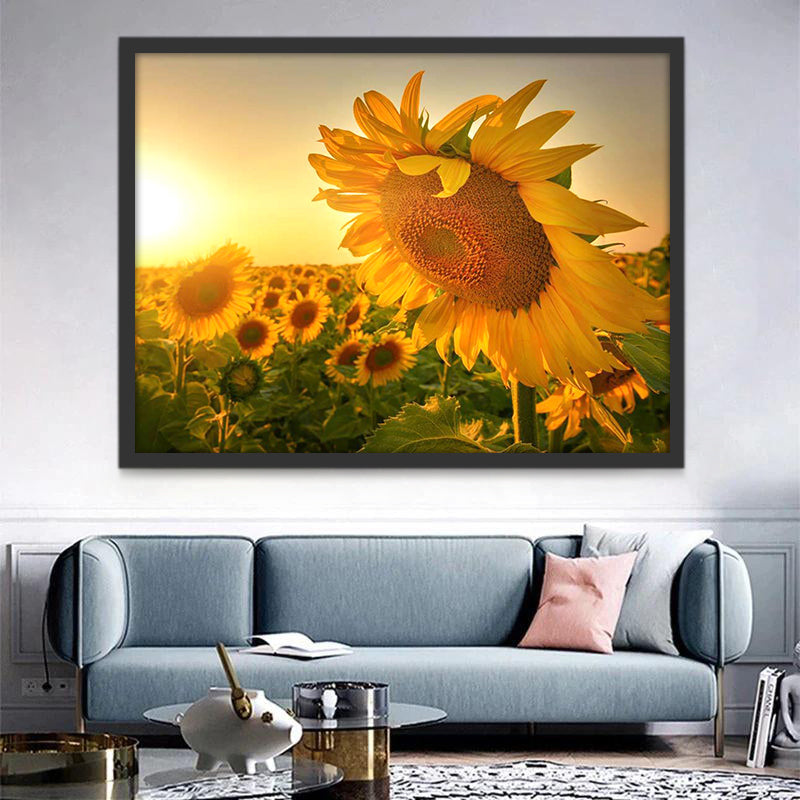 Campo de Girasoles en la Puesta del Sol Pintar por Números