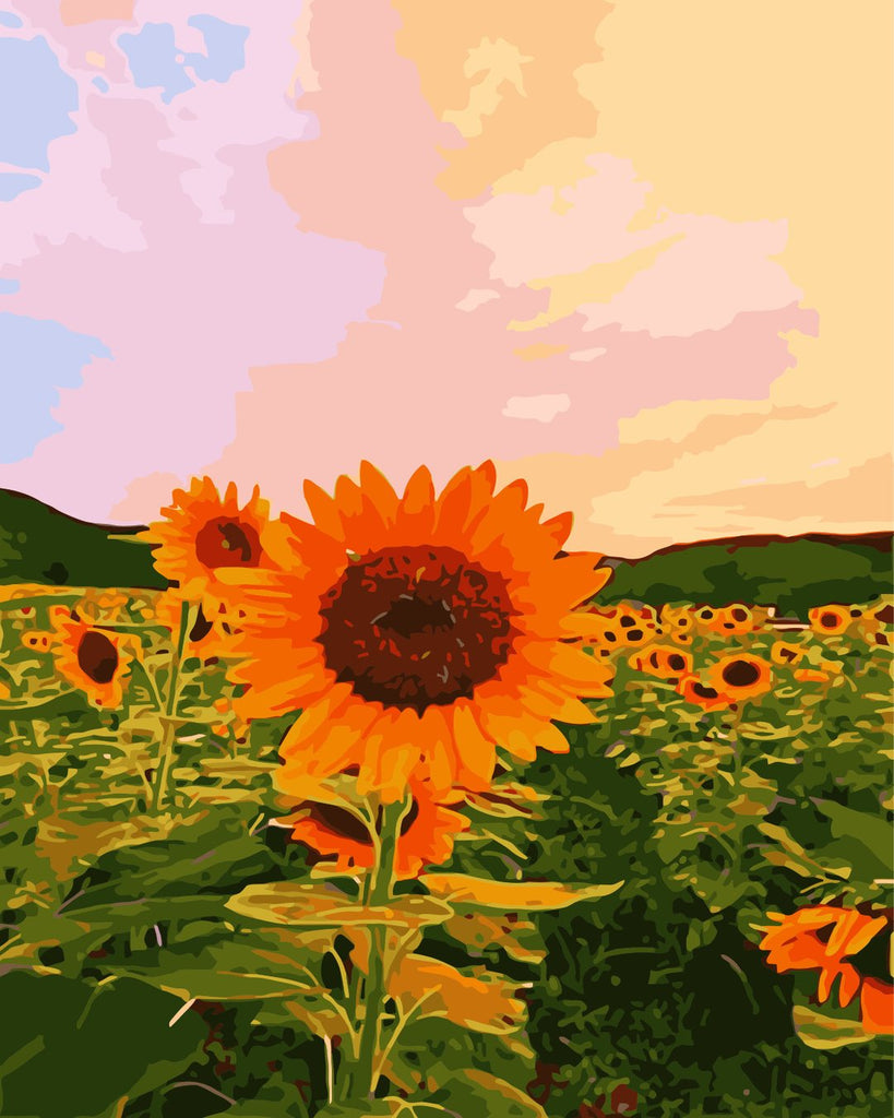 Campo de Girasoles y Cielo Colorido Pintar por Números