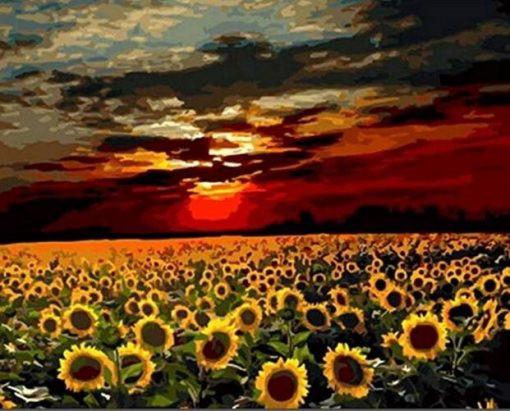 Campo de Girasoles y Cielo Rojo con la Puesta del Sol Pintar por Números
