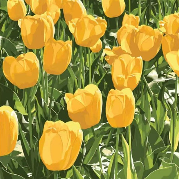 Campo de Tulipán Amarillo al Sol Pintar por Números