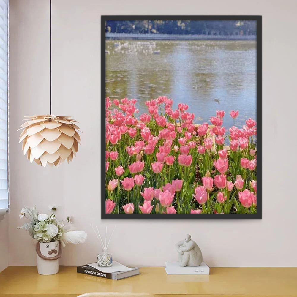 Campo de Tulipán Rosado Junto al Agua Pintar por Números
