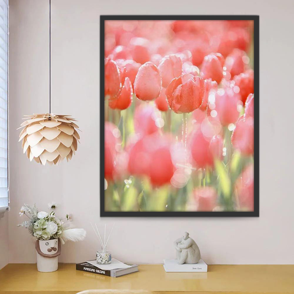 Campo de Tulipanes Rosados con Gotas de Agua Pintar por Números