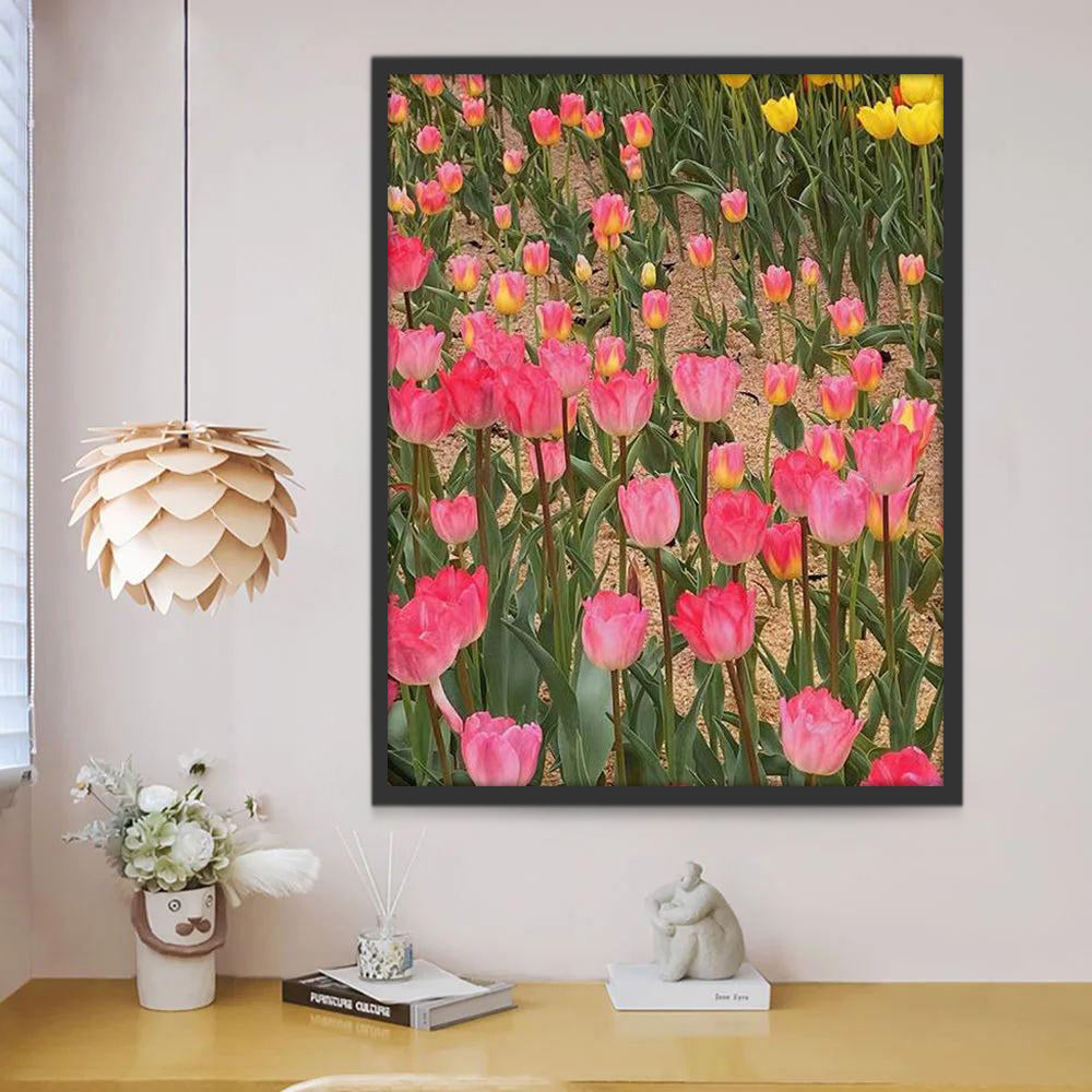 Campo de Tulipanes Rosados y Amarillos Pintar por Números