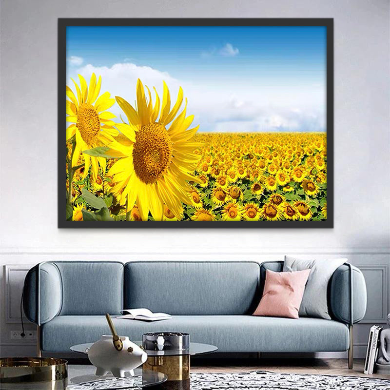 Campo Enorme de Girasol con Nubes Blancas Pintar por Números