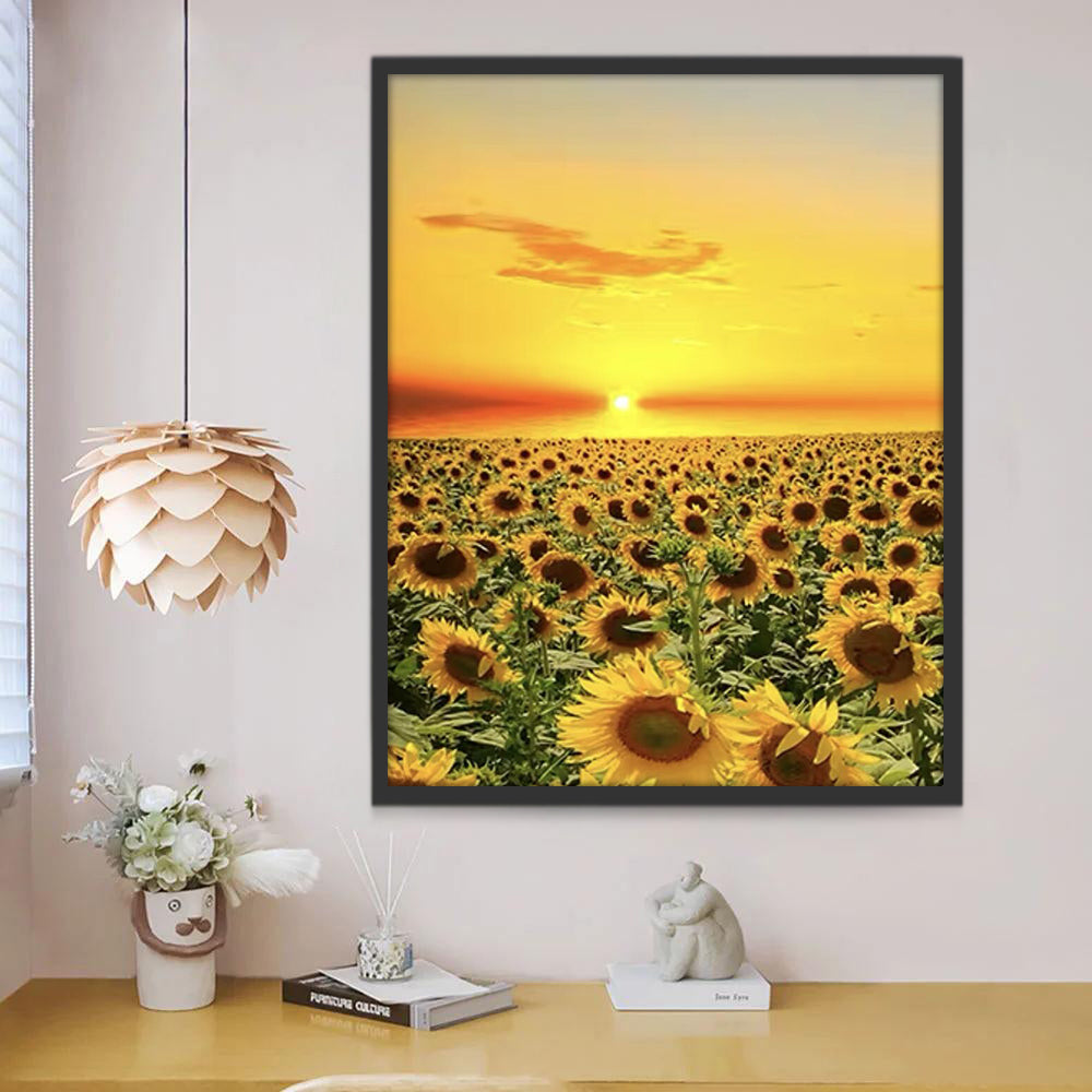 Campo Enorme de Girasoles con la Puesta del Sol Pintar por Números