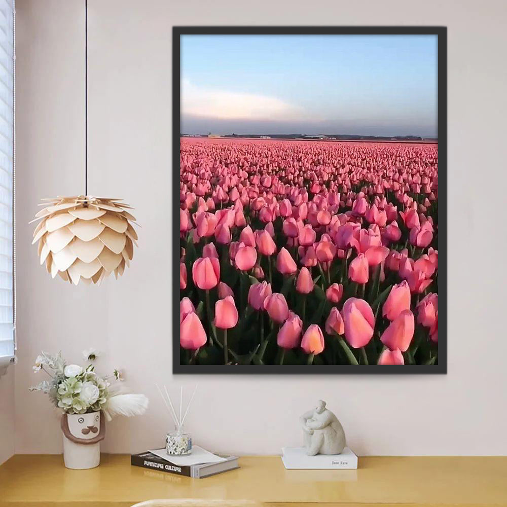 Campo Enorme de Tulipán Bonito Rosado Claro Pintar por Números
