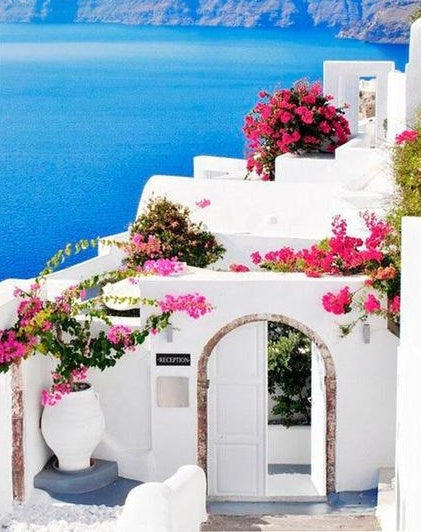 Casa Blanca y Flores en Santorini Pintar por Números