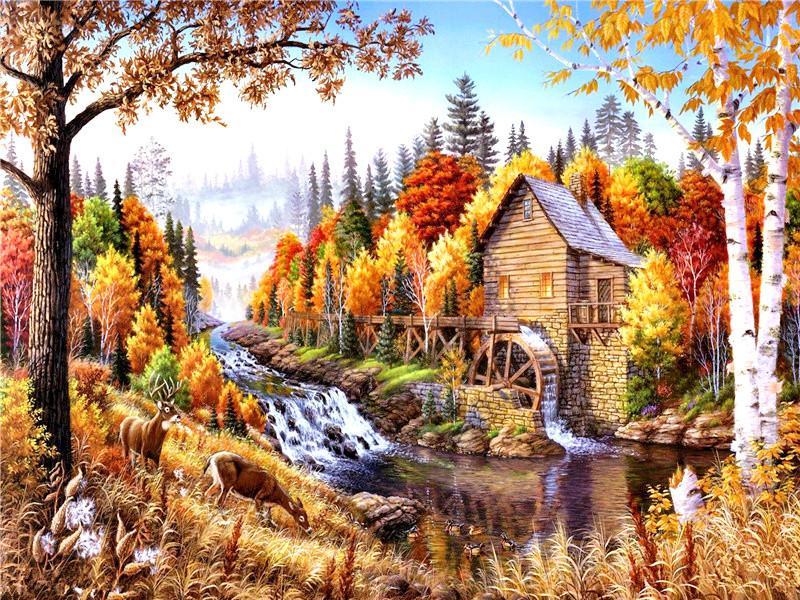 Casa con Rueda Hidráulica en el Bosque Pintar por Números