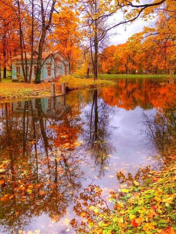 Casa Verde y Bosque Otoñal y Arroyo Pintar por Números