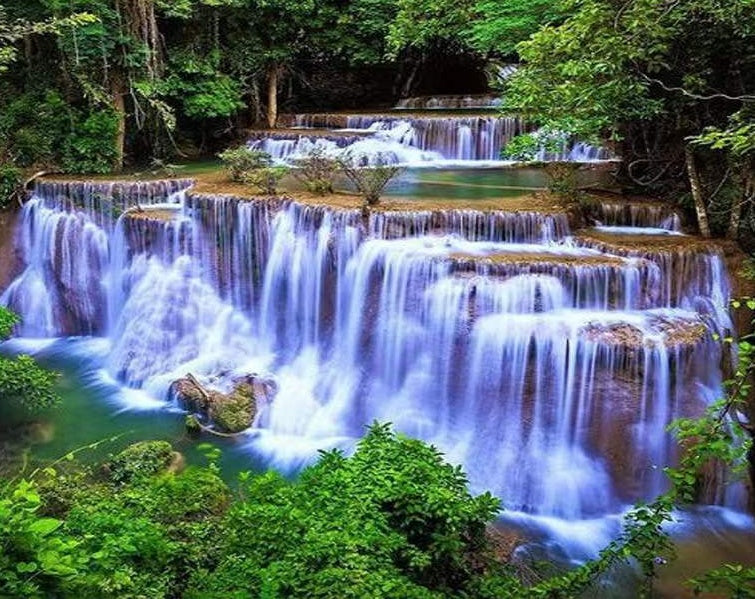 Cascada en el Bosque Pintar por Números