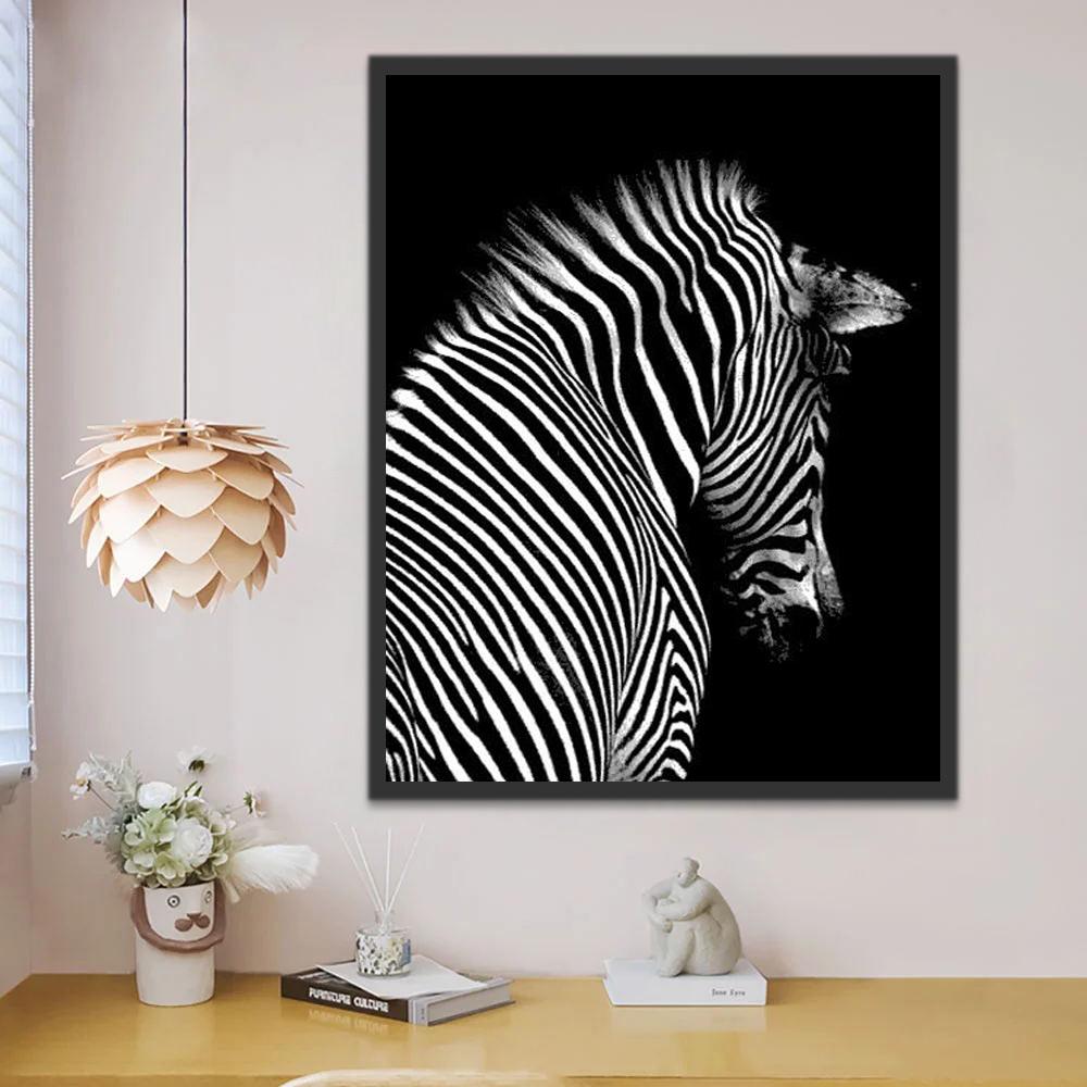 Cebra y Fondo Negro Pintar por Números